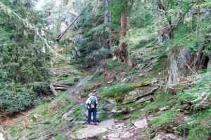 De Grote Aletschgletsjer, UNESCO-werelderfgoed in het Wallis