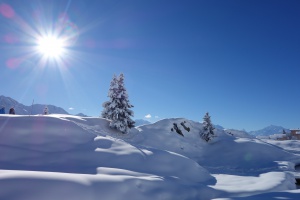 Sonniger Wintertag mit tief verschneiten Baeumen in der Aletsch Arena, Wallis, Schweiz
