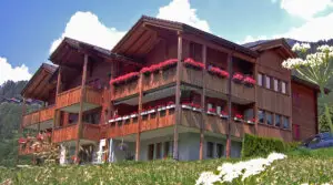 Ferienwohnung LuxLax im Sommer mit bluehenden Geranien und Bergwiese, Lax, Aletsch Arena Wallis