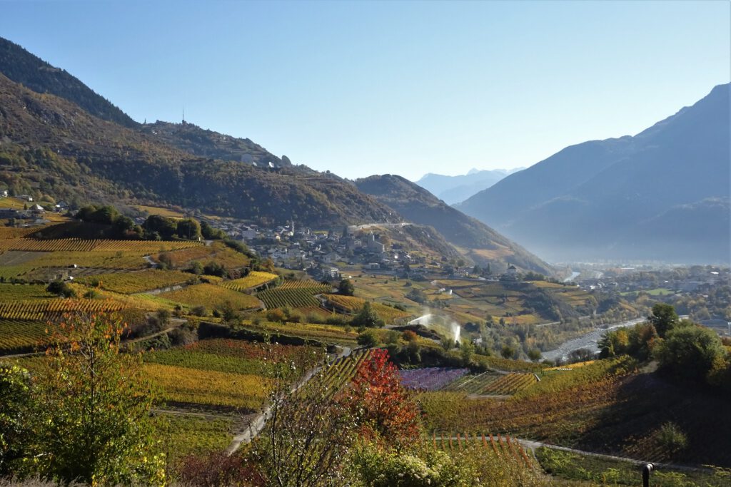 View over the autumn-coloured vineyards of the Rh&ocirc;ne valley, with a village and the river below